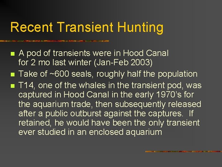 Recent Transient Hunting n n n A pod of transients were in Hood Canal