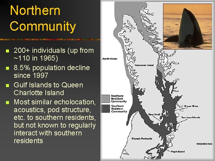 Northern Community n n 200+ individuals (up from ~110 in 1965) 8. 5% population