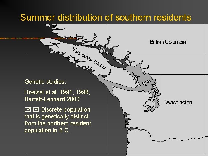 Summer distribution of southern residents Genetic studies: Hoelzel et al. 1991, 1998, Barrett-Lennard 2000