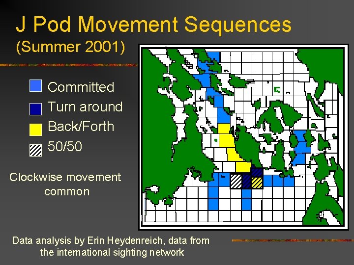 J Pod Movement Sequences (Summer 2001) Committed Turn around Back/Forth 50/50 Clockwise movement common