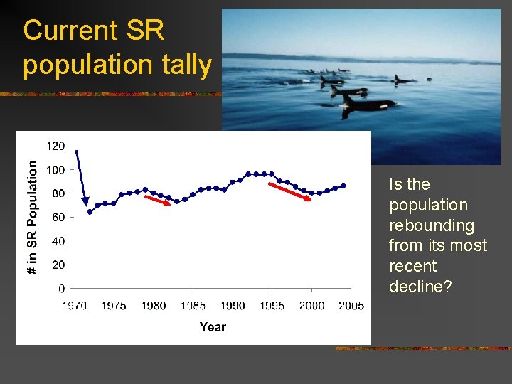 Current SR population tally Is the population rebounding from its most recent decline? 