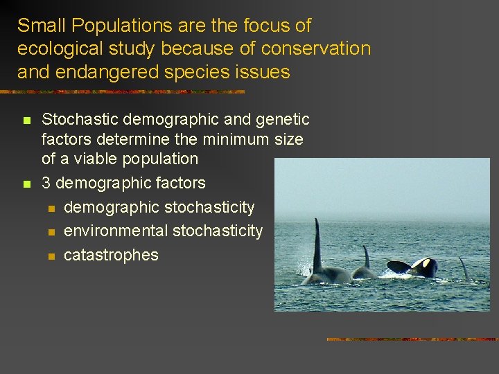 Small Populations are the focus of ecological study because of conservation and endangered species
