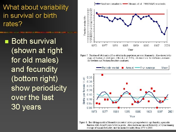 What about variability in survival or birth rates? n Both survival (shown at right