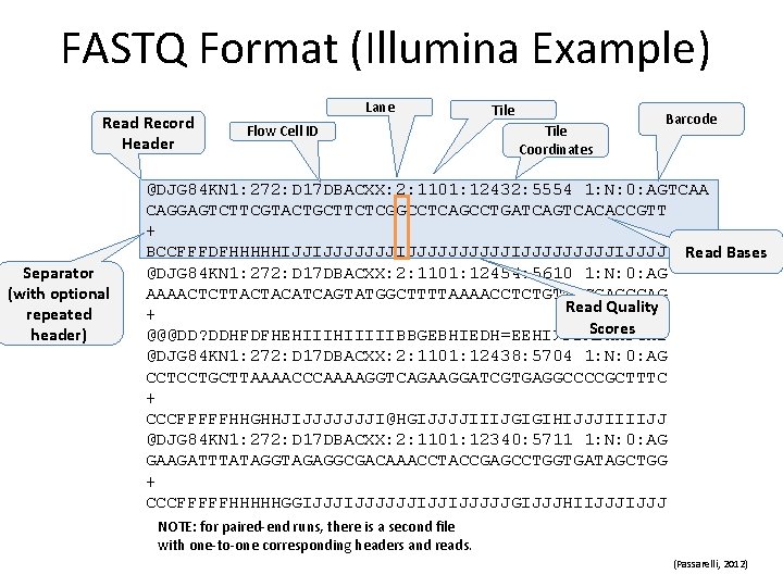 FASTQ Format (Illumina Example) Read Record Header Separator (with optional repeated header) Lane Flow