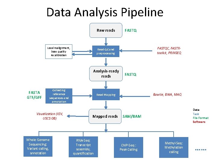 Data Analysis Pipeline Raw reads Local realignment, base quality recalibration Collecting reference sequences and