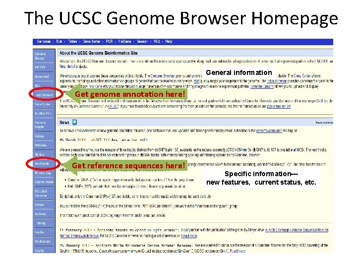 The UCSC Genome Browser Homepage General information Get genome annotation here! Get reference sequences