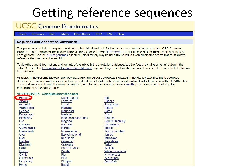 Getting reference sequences 