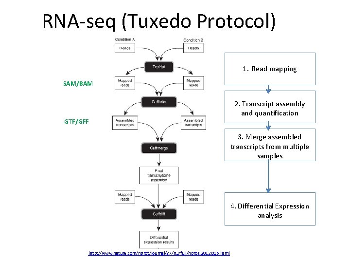 RNA‐seq (Tuxedo Protocol) 1. Read mapping SAM/BAM GTF/GFF 2. Transcript assembly and quantification 3.