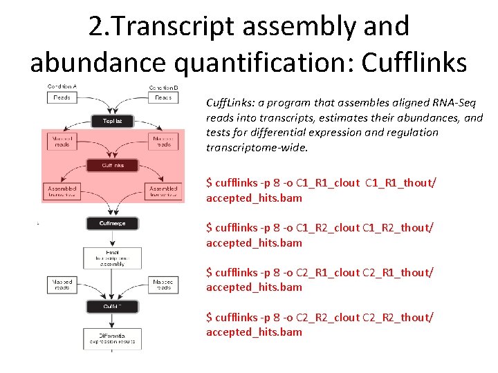 2. Transcript assembly and abundance quantification: Cufflinks Cuff. Links: a program that assembles aligned