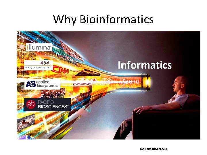 Why Bioinformatics Informatics (wall. hms. harvard. edu) 