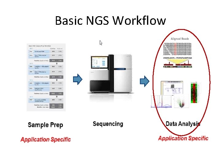 Basic NGS Workflow 