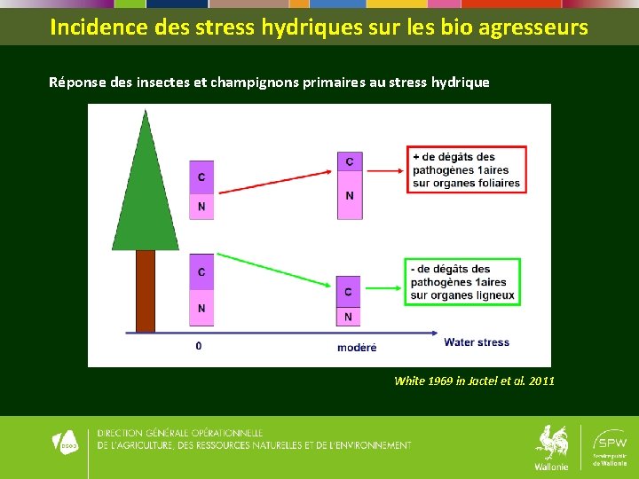 Incidence des stress hydriques sur les bio agresseurs Réponse des insectes et champignons primaires