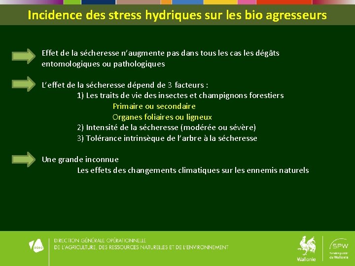 Incidence des stress hydriques sur les bio agresseurs Effet de la sécheresse n’augmente pas