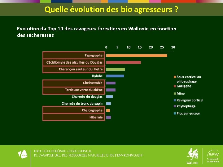 Quelle évolution des bio agresseurs ? Evolution du Top 10 des ravageurs forestiers en