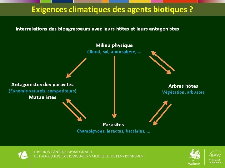 Exigences climatiques des agents biotiques ? Interrelations des bioagresseurs avec leurs hôtes et leurs