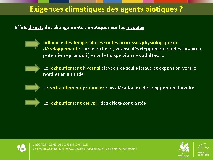 Exigences climatiques des agents biotiques ? Effets directs des changements climatiques sur les insectes Exigences climatiques des agents biotiques ? Effets directs des changements climatiques sur les insectes