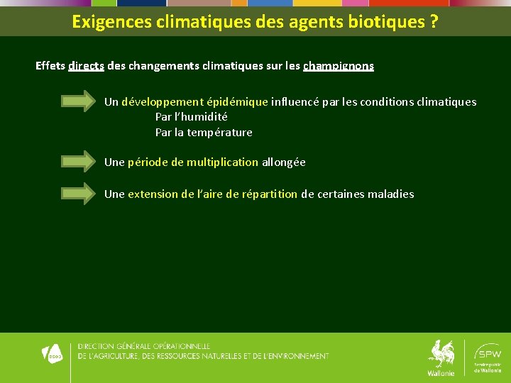 Exigences climatiques des agents biotiques ? Effets directs des changements climatiques sur les champignons Exigences climatiques des agents biotiques ? Effets directs des changements climatiques sur les champignons