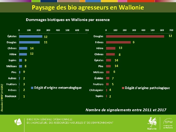 Paysage des bio agresseurs en Wallonie Dommages biotiques en Wallonie par essence 12 12