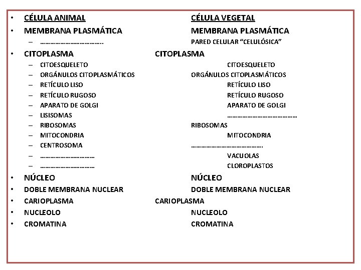  • • CÉLULA ANIMAL MEMBRANA PLASMÁTICA – ………………. . • CITOPLASMA – –