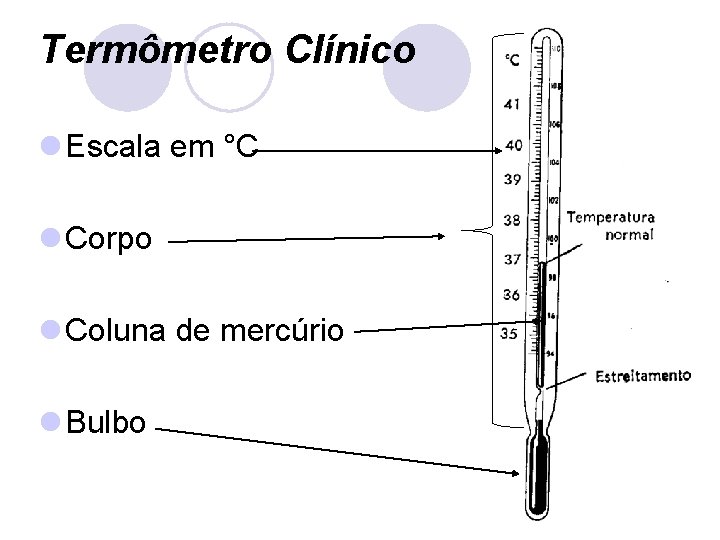 Termômetro Clínico l Escala em °C l Corpo l Coluna de mercúrio l Bulbo