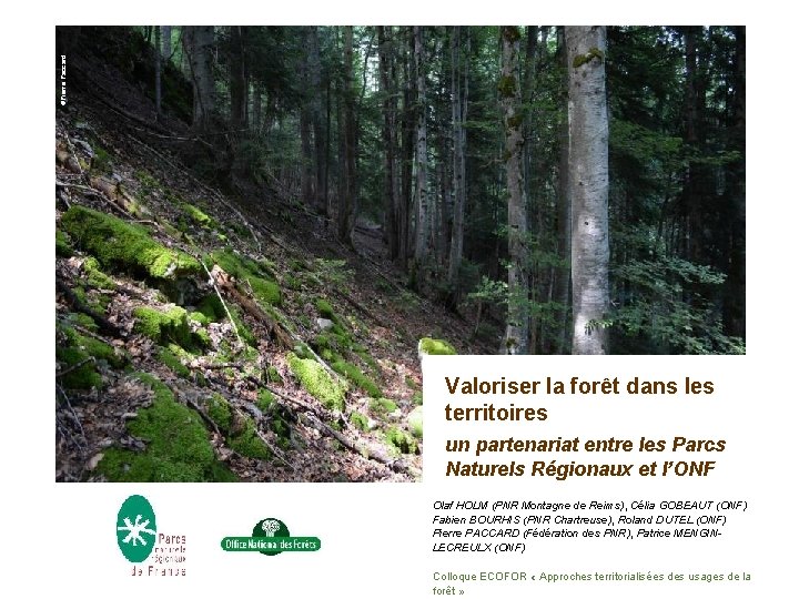 ©Pierre Paccard Valoriser la forêt dans les territoires un partenariat entre les Parcs Naturels ©Pierre Paccard Valoriser la forêt dans les territoires un partenariat entre les Parcs Naturels