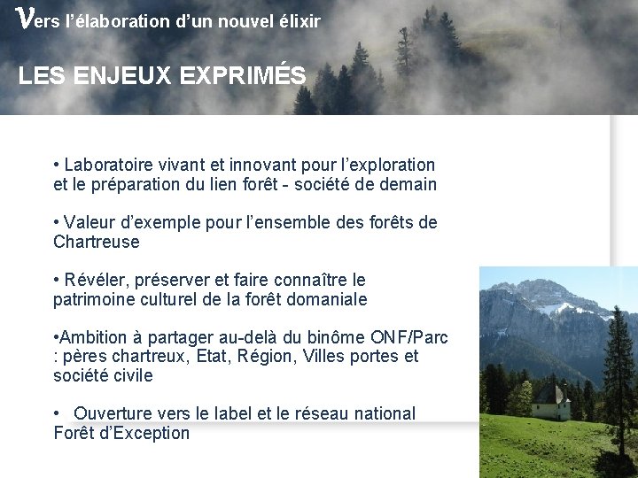 Vers l’élaboration d’un nouvel élixir Forêt d’Exception, une nouveau fil vert dans la toile Vers l’élaboration d’un nouvel élixir Forêt d’Exception, une nouveau fil vert dans la toile