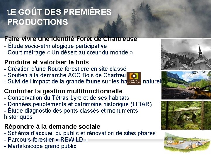 LE GOÛT DES PREMIÈRES F orêt d’Exception, une nouveau fil vert dans la toile LE GOÛT DES PREMIÈRES F orêt d’Exception, une nouveau fil vert dans la toile