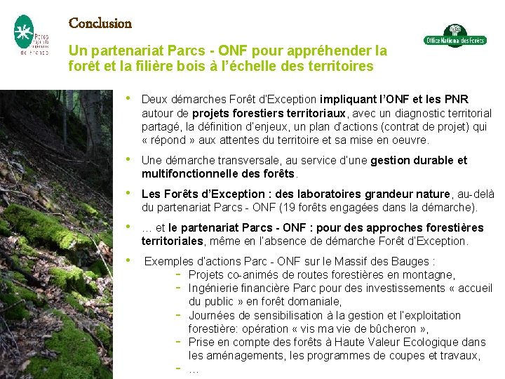Conclusion Un partenariat Parcs - ONF pour appréhender la forêt et la filière bois Conclusion Un partenariat Parcs - ONF pour appréhender la forêt et la filière bois