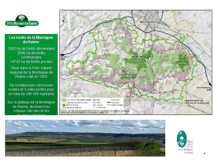 Les forêts de la Montagne de Reims 3500 ha de forêts domaniales 2600 ha Les forêts de la Montagne de Reims 3500 ha de forêts domaniales 2600 ha
