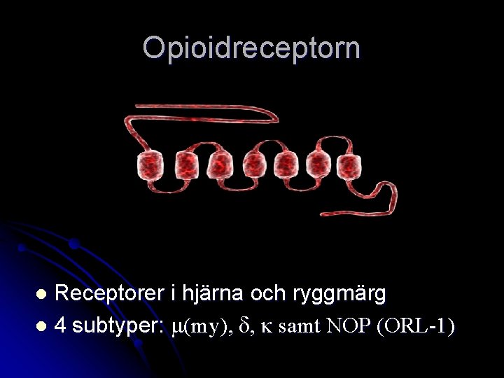 Opioidreceptorn Receptorer i hjärna och ryggmärg l 4 subtyper: m(my), d, k samt NOP