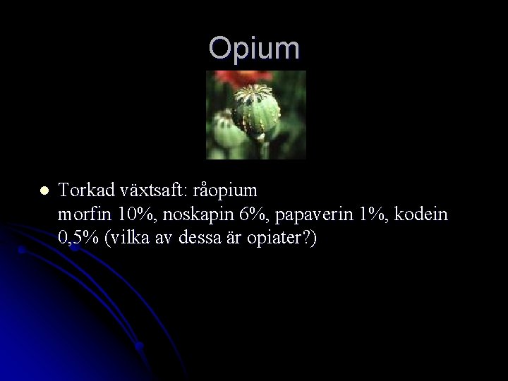 Opium l Torkad växtsaft: råopium morfin 10%, noskapin 6%, papaverin 1%, kodein 0, 5%