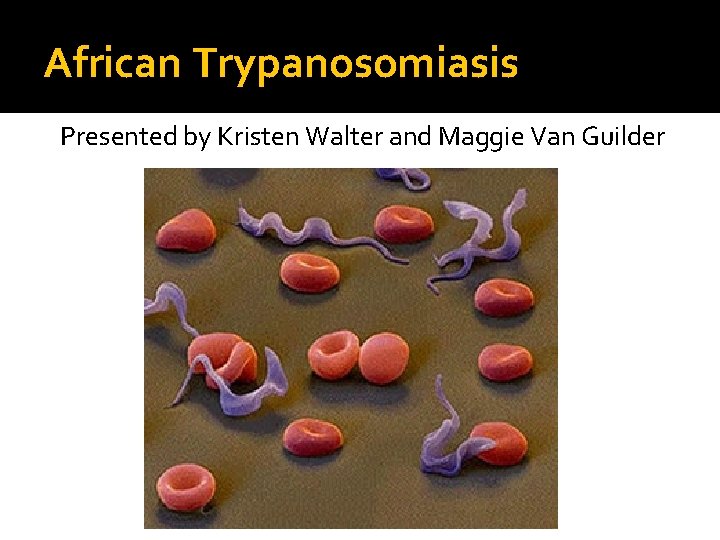 African Trypanosomiasis Presented by Kristen Walter and Maggie Van Guilder 