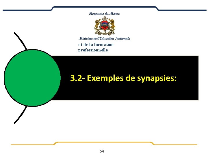 e t de la formation professionnelle 3. 2 - Exemples de synapsies: 54 