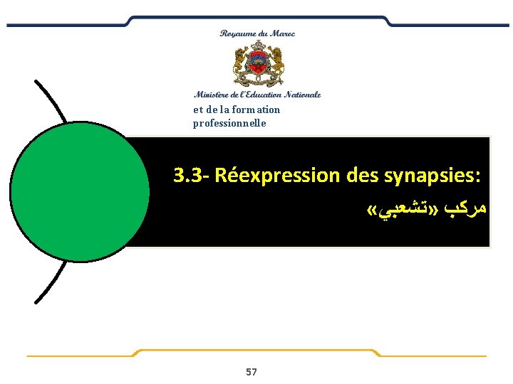 e t de la formation professionnelle 3. 3 - Réexpression des synapsies: « »