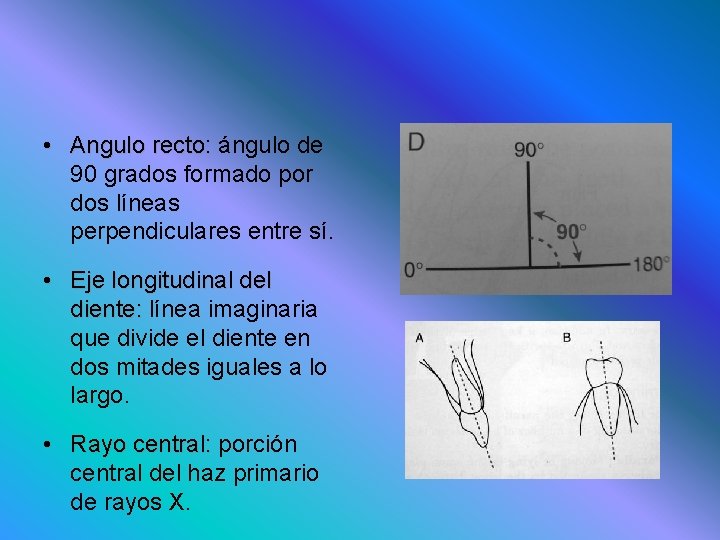 • Angulo recto: ángulo de 90 grados formado por dos líneas perpendiculares entre