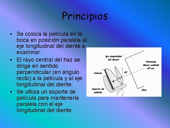 Principios • Se coloca la película en la boca en posición paralela al eje