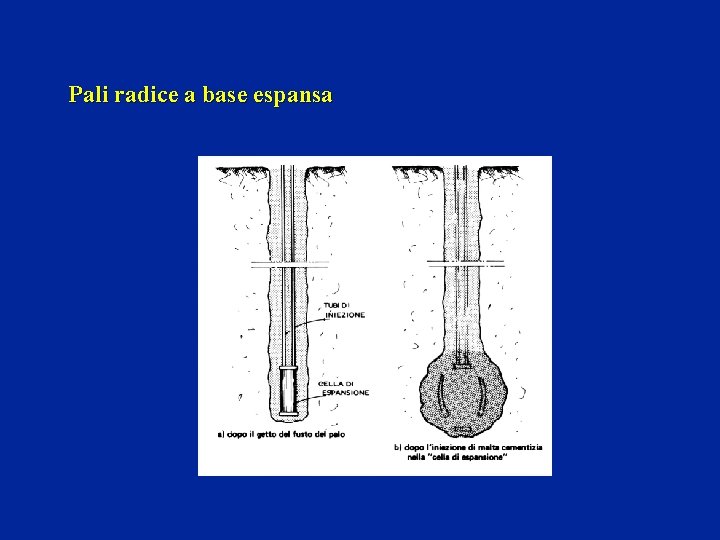 Pali radice a base espansa 