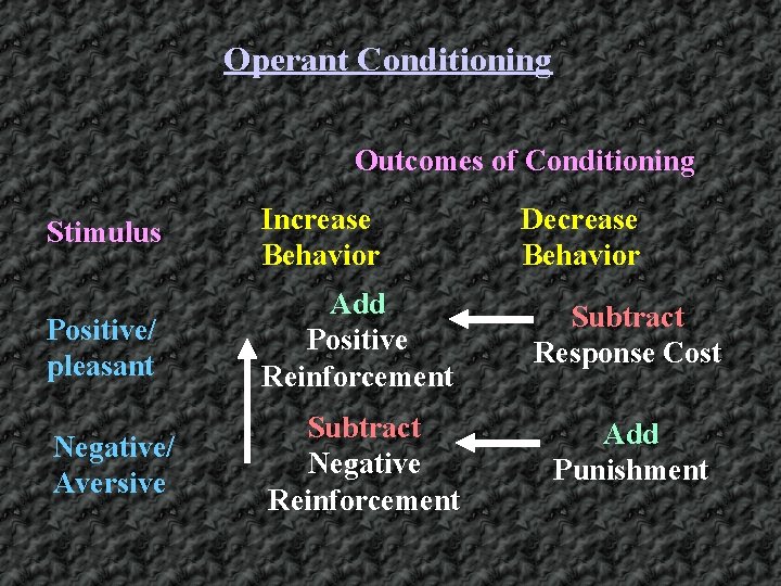 Operant Conditioning Outcomes of Conditioning Stimulus Increase Behavior Decrease Behavior Positive/ pleasant Add Positive