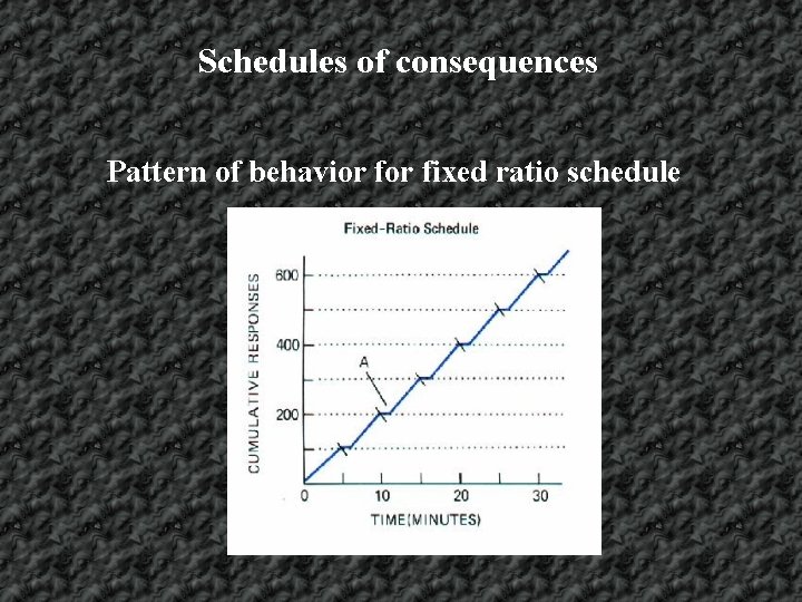 Schedules of consequences Pattern of behavior fixed ratio schedule 