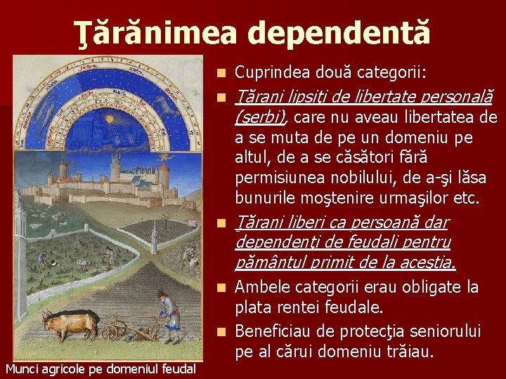 Ţărănimea dependentă n Cuprindea două categorii: n Ţărani lipsiţi de libertate personală (şerbi), care