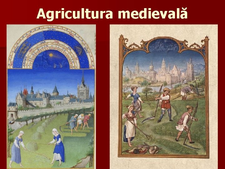 Agricultura medievală 