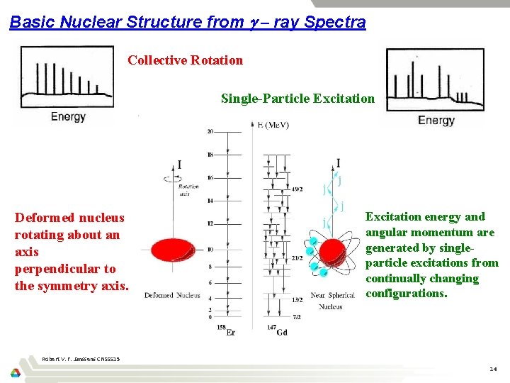 Basic Nuclear Structure from – ray Spectra Collective Rotation Single-Particle Excitation Deformed nucleus rotating