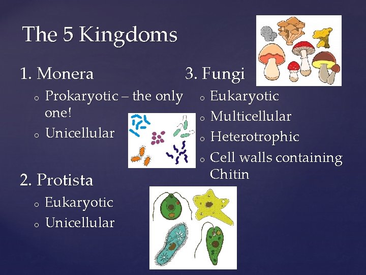 The 5 Kingdoms 1. Monera o o Prokaryotic – the only one! Unicellular 3.