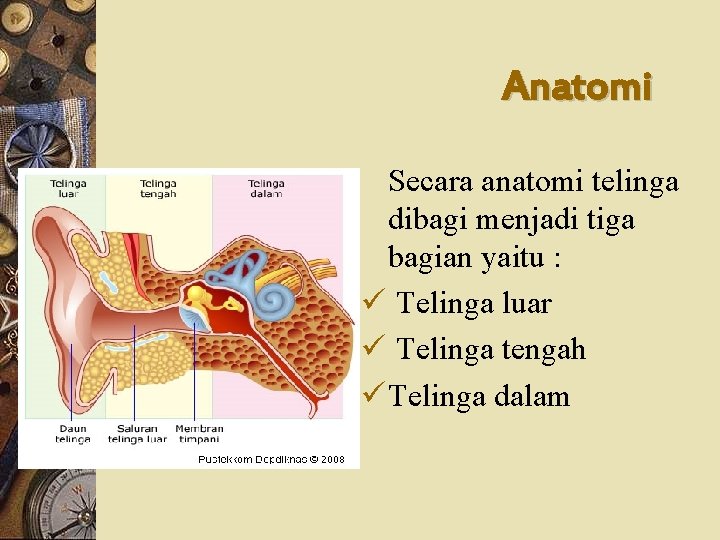 Anatomi Secara anatomi telinga dibagi menjadi tiga bagian yaitu : ü Telinga luar ü