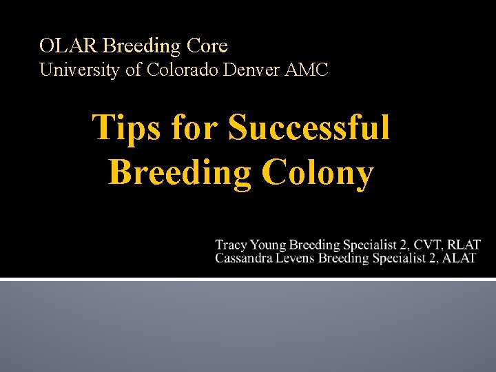 OLAR Breeding Core University of Colorado Denver AMC Tips for Successful Breeding Colony 