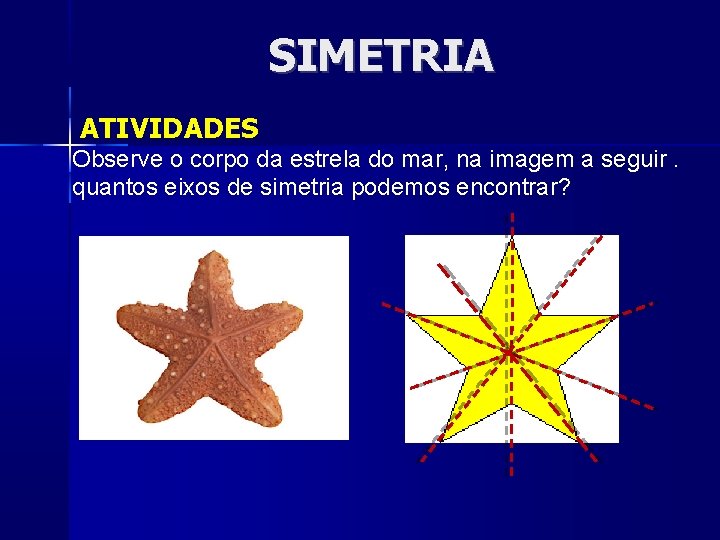 SIMETRIA ATIVIDADES Observe o corpo da estrela do mar, na imagem a seguir. quantos
