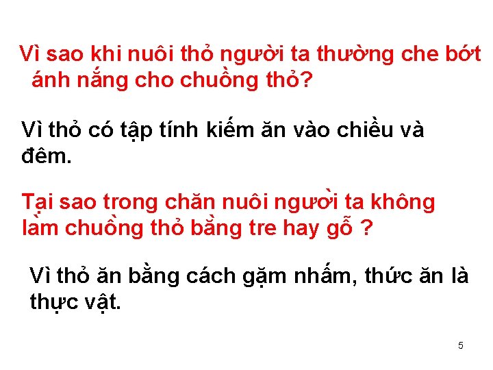 Vì sao khi nuôi thỏ người ta thường che bớt ánh nắng cho chuồng