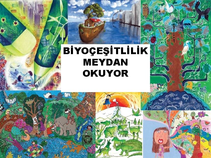 BİYOÇEŞİTLİLİK MEYDAN OKUYOR 