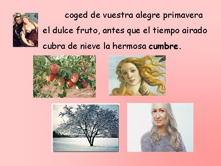  coged de vuestra alegre primavera el dulce fruto, antes que el tiempo airado