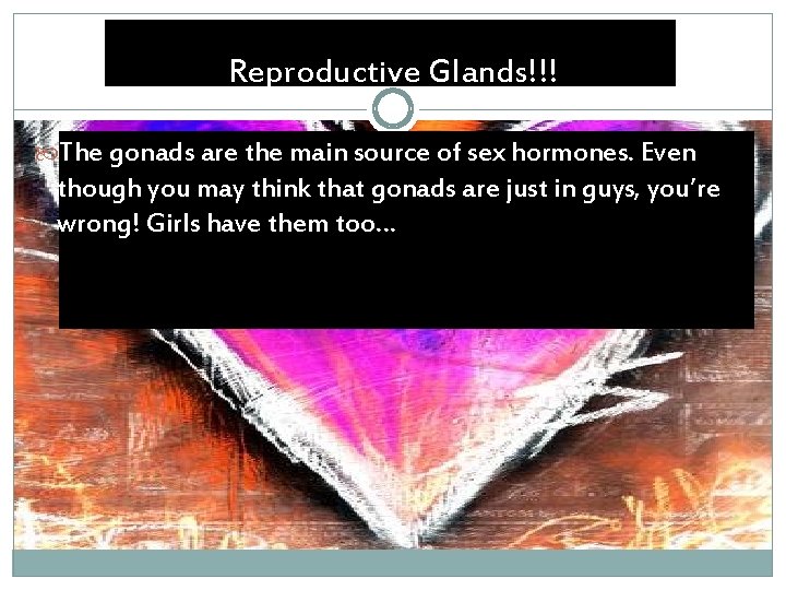 Reproductive Glands!!! The gonads are the main source of sex hormones. Even though you